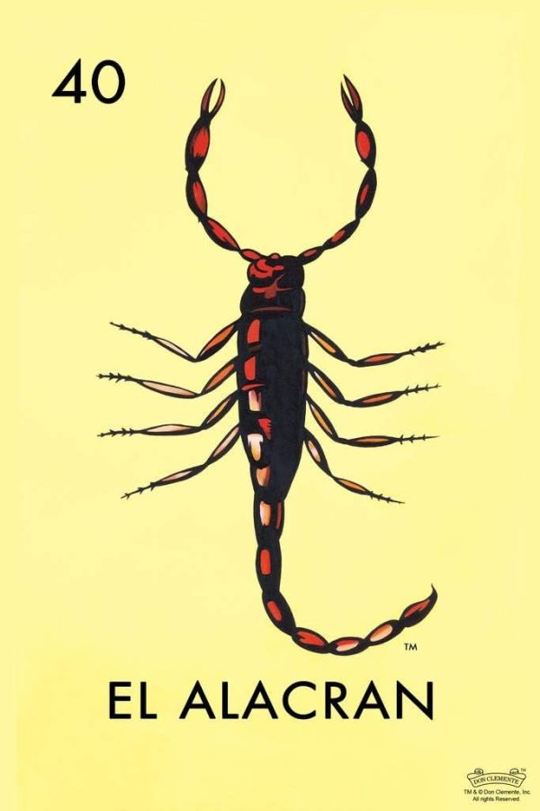 51p8rlKpadL._AC_SL1024_.jpg