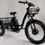 Fat Tire Electric Tricycle, Motorized Trike - Image 1