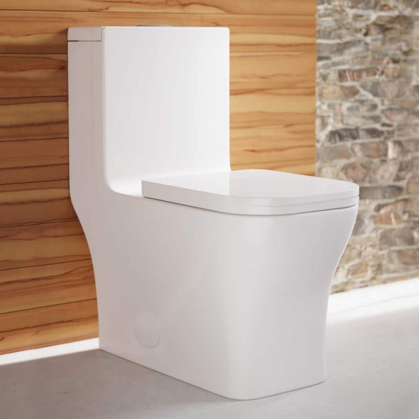 glossy-white-swiss-madison-one-piece-toilets-sm-1t102-64_1000.jpg