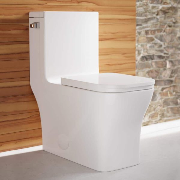 glossy-white-swiss-madison-one-piece-toilets-sm-1t107-64_1000.jpg