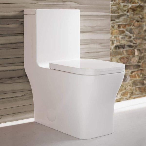 glossy-white-swiss-madison-one-piece-toilets-sm-1t278-64_1000.jpg