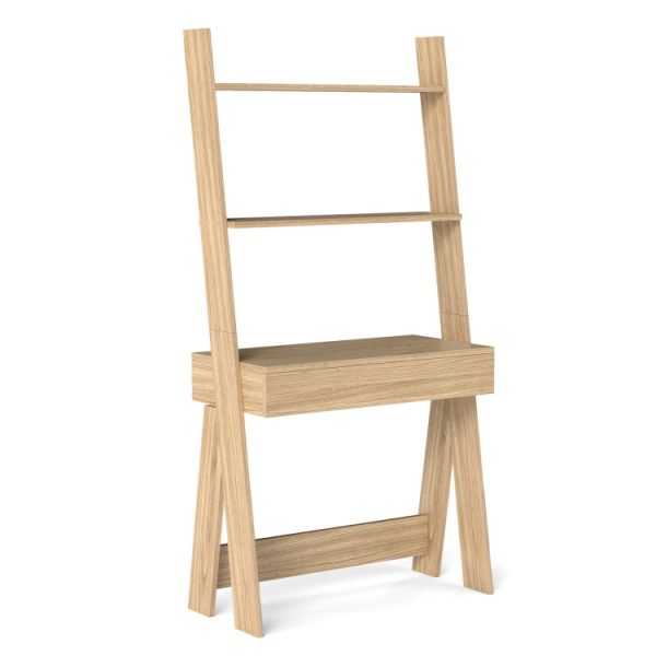 ladder_shelf_desk_bookcase-1_2_.jpg