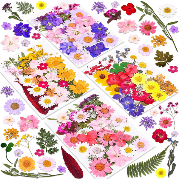 s-l1600-343.png