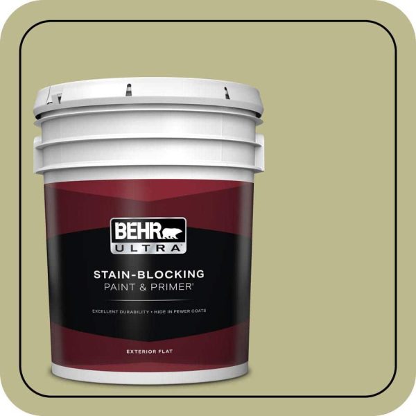 back-to-nature-behr-ultra-paint-colors-485405-64_1000.jpg