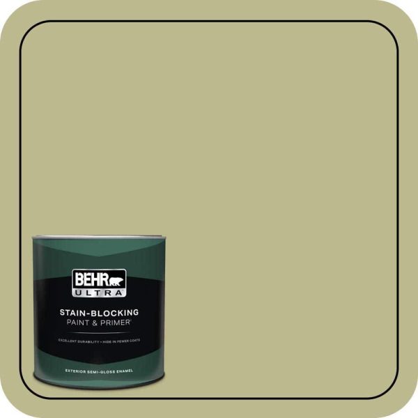 back-to-nature-behr-ultra-paint-colors-585404-64_1000.jpg