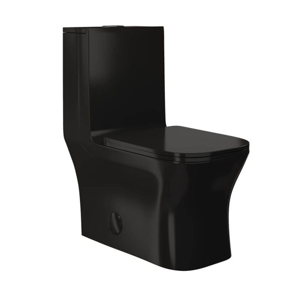 black-glossy-swiss-madison-one-piece-toilets-sm-1t106gb-64_1000.jpg
