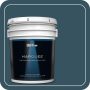 1 gal. #MQ5-24 Opera Glasses Satin Enamel Exterior Paint & Primer - Image 1