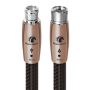 AudioQuest - Black Beauty XLR > XLR 3.3' Analog Audio Interconnect Cable - Black on Black - Image 1