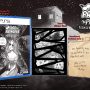 Slay the Princess - The Pristine Cut - PlayStation 5 - Image 2