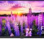 Insignia™ - 24" Class F40 Series LED Full HD (1080p) Smart Fire TV - Image 1