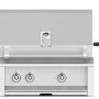 Aspire by Hestan - 30" Built-In Gas Grill - Steeletto - Image 1