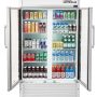 Premium Levella - 40 in. Wide 18.0 cu. ft. 2-Door Commercial Merchandiser Refrigerator Glass-Door Beverage Display Cooler - Silver - Image 3