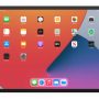 iPort - SURFACE MOUNT - SYSTEM FOR APPLE IPAD 10.9 (10th Gen) (Each) - White - Image 2