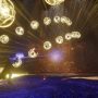 SAROS Standard Edition - PlayStation 5 - Image 3