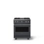 Viking - 30 in. Wide Pro 5 Series 4.0 Cu. Ft. Freestanding Sealed 4 Burner Liquid Propane Gas Convection Range - Cast Black - Cast Black - Image 1