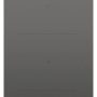 Fisher & Paykel - 12 in. Wide 2 Element Auxiliary Modular Induction Built-in Electric Cooktop, 2 Zones with SmartZone - Gray - Image 1