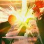 Bleach: Rebirth of Souls - Xbox Series X - Image 3