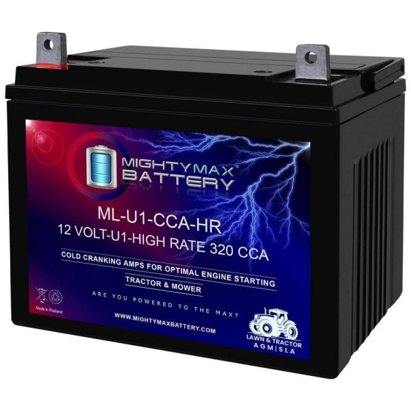 mighty-max-battery-12v-batteries-ml-u1-ccahr-64_1000.jpg