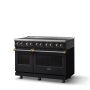 Viking - 48 in. Wide 6 Elements 5 Series Freestanding Electric Induction Range - with Brushed Brass Trim - Onyx - Image 2