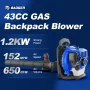 Leaf Blower Backpack, 43cc Gas Strong Air Flow 650 CFM 152 MPH, Light Weight 17.4 lbs. - Image 2