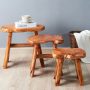 Rustic Natural Edge Cedar Wood Bench Stool End Side Table Unique Accent Table 20x13x19" - Image 3