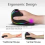 Delux M618 PLUS Ergonomics Vertical Gaming Mouse 6 Buttons 4000 DPI RGB Wired/Wireless Right Hand Mice For PC Laptop Computer - Image 2