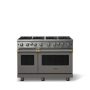 Viking - 48 in. Wide 8 Burner Pro 5 Series 6.1 Cu. Ft. Freestanding LP Gas Convection Range - Damascus Gray w. Brushed Brass - Damascus Gray - Image 1