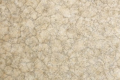 1883dfab-5ad5-4098-8e26-c25c17e3f7d4.jpg