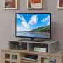 Convenience Concepts Designs2Go Melamine Veneer Monitor Riser for TVs up to 46 inches, Faux Birch - Image 1