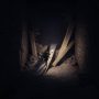 REANIMAL - XBOX Series X - Image 2