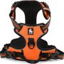 Orange Small Dog Harness with Handle - Image 2