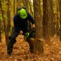 Greenworks 80V 18" Gen 2.5 2.5KW Chainsaw - Image 4