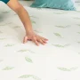 NapQueen Anula 8" Queen Mattress, Green Tea Infused Memory Foam Mattress, Bed In a Box, Adult - Image 2