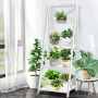 Costway Set of 2 Ladder Shelf 4-Tier Bookshelf Bookcase Storage Display Plant Leaning - Image 4