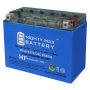 12-Volt 21 AH 350 CCA GEL Rechargeable Sealed Lead Acid (SLA) AGM Battery - Image 1
