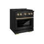 ZLINE - 30 in. Wide 4 Burner 4.2 cu. ft. Autograph Paramount Dual Fuel Freestanding Black Stainless Range w/ Bronze Accents - Black Stainless Steel - Image 3
