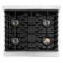 ZLINE - 30 in. Wide 4 Burner Autograph Paramount Built-In Gas Cooktop DuoPro and Gold Accents (PSRTZ-30-G) - Stainless Steel - Image 2
