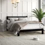 Camea Contemporary Modern Metal Platform Bed - Image 3