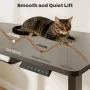 Mancheer Home Office Height Adjustable Standing Desk with USB Ports and Cable Management Tray - Image 6
