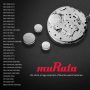 Murata 319 Battery SR527SW 1.55V Silver Oxide Watch Button Cell (25 Batteries) - Image 4
