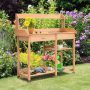 Fir Wood Potting Bench with Open Shelves and Sink for Planting - Image 2