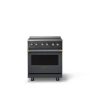 Viking - 30 in. Wide 4 Elements Pro 5 Series 4.7 Cu. Ft. Freestanding Induction Convection Range - w. Brushed Brass - Cast Black - Image 1