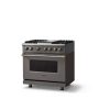 Viking - 36 in. Wide 4 Burner Pro 5 Series 5.6 Cu. Ft. Freestanding Sealed LP Dual Fuel Convection Range with Brushed Brass Trim - Damascus Gray - Image 2