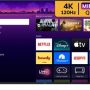 Roku - 65" Class Pro Series 4K QLED Mini-LED Smart RokuTV - Image 1