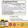 NewRhythm Probiotics 50 Billion CFU 20 Strains, 60 Veggie Capsules, Targeted Release Technology, Stomach Acid Resistant, No Need for Refrigeration, Non-GMO, Gluten Free - Image 4