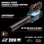 SENIX 20V 2-Tool Cordless Combo Kit, 10-Inch String Trimmer & Variable Speed Leaf Blower (One 4.0Ah Battery and Charger Included) S2K2B1-03 - Image 4
