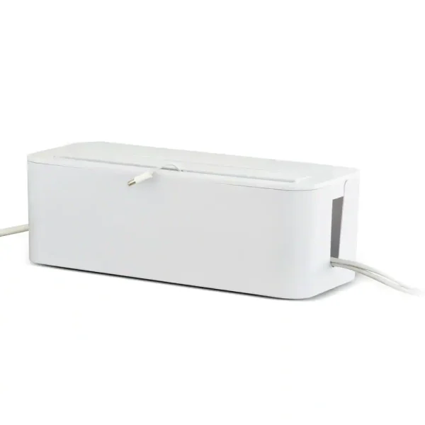 a1543fbd-ae12-4135-82e1-e73b8496e2f3.webp