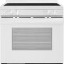 Insignia™ - 30 in. Wide 4 Elements 5.3 Cu. Ft. Freestanding Electric Range with Dual-Size Burner and Storage Drawer - White - Image 1