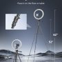 UBeesize 12 inch Ring Light with Stand, Selfie Ring Light with 50" Extendable Tripod Stand & Phone Holder for Live Stream/Makeup/YouTube Video - Image 3
