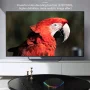 2025 Upgraded T95Z Plus Smart Android 12.0 TV Box Quad Core 6K HD Stream Player - 2GB + 16GB - Image 3